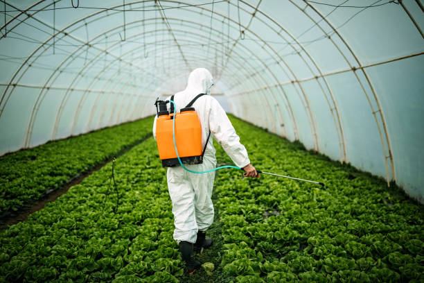 Trusted Minden, NV Pest Control Experts