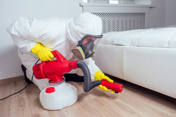 Best Affordable Pest Control Services  in Minden, NV
