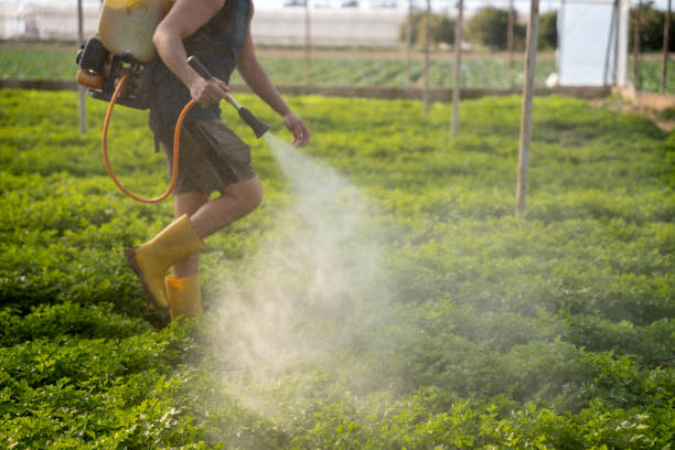 Best Residential Pest Control  in Minden, NV