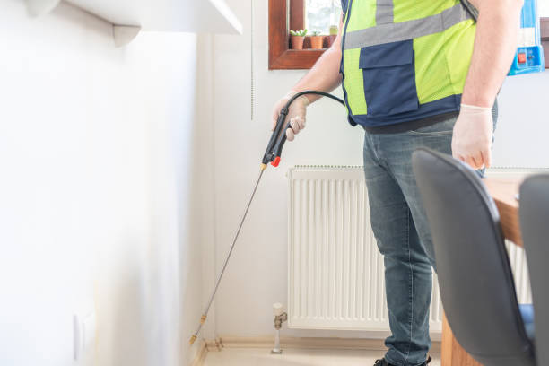 Best Flea Control Services  in Minden, NV