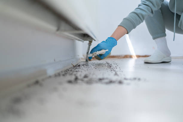 Best Wildlife Control Services  in Minden, NV